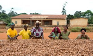 Productoras de cacao de Comercio Justo de la organización Kuapa Kokoo en Ghana