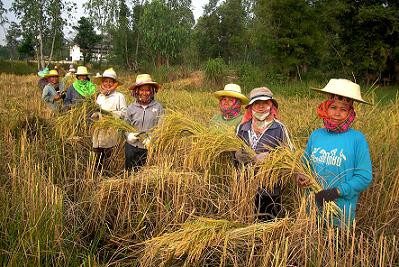 Comercio Justo, una alternativa real desde hace más de 50 años