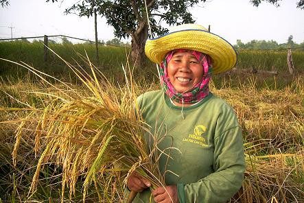 Los grupos productores de Comercio Justo: diversos pero iguales