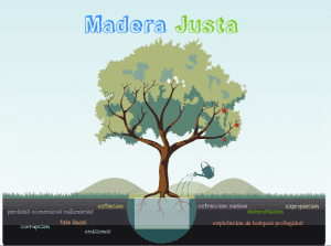 Presentamos Madera Justa en Ingurubide, en Bilbao