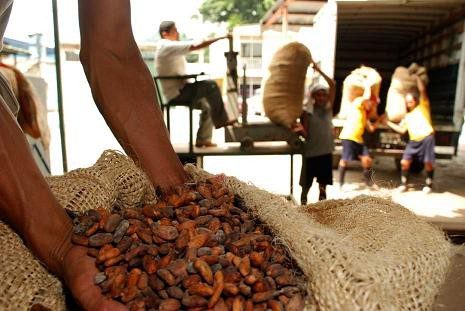 Uniendo fuerzas desde el Comercio Justo