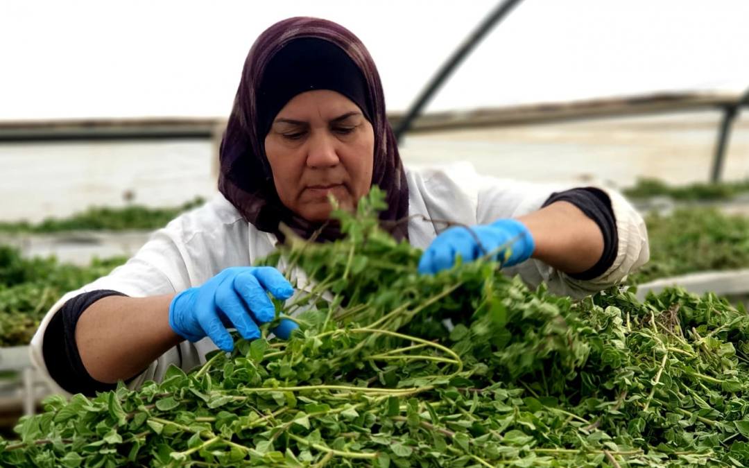 Encuentro de Mujeres Palestinas en La-tenda de tot el Món