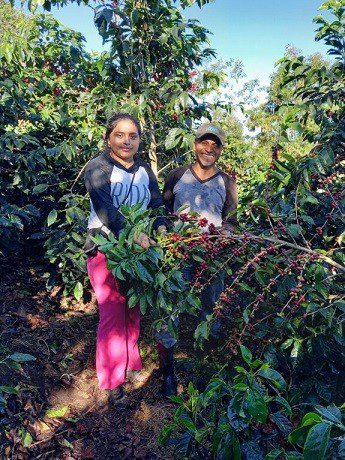 “Reconstruir mejor juntos”: celebramos el Día Internacional de las Cooperativas