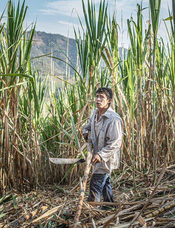 Justicia climática y Comercio Justo