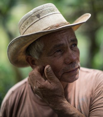 Hay avances pero no son suficientes: valoraciones tras la COP27