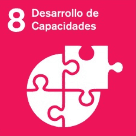 Desarrollo de Capacidades