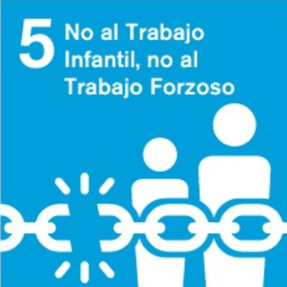 No al trabajo infantil, no al trabajo forzoso