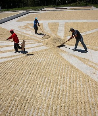 2025: Año de las Cooperativas